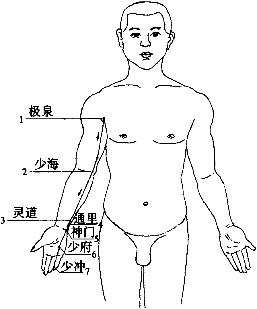 五、手少陰心經(jīng)